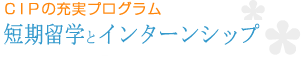 中国語強化集中コース